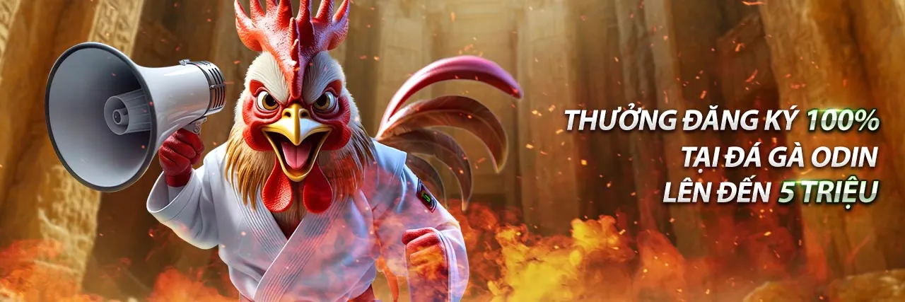 Hình ảnh chính các ưu đãi 97win11 2026