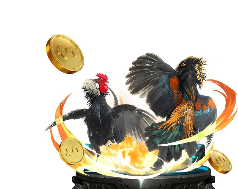 Tỷ lệ thanh toán cao tại 97win11 Đăng Nhập