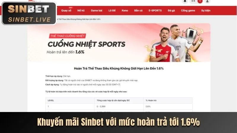 Khám Phá Thế Giới Cá Cược Thể Thao Tại 97win11
